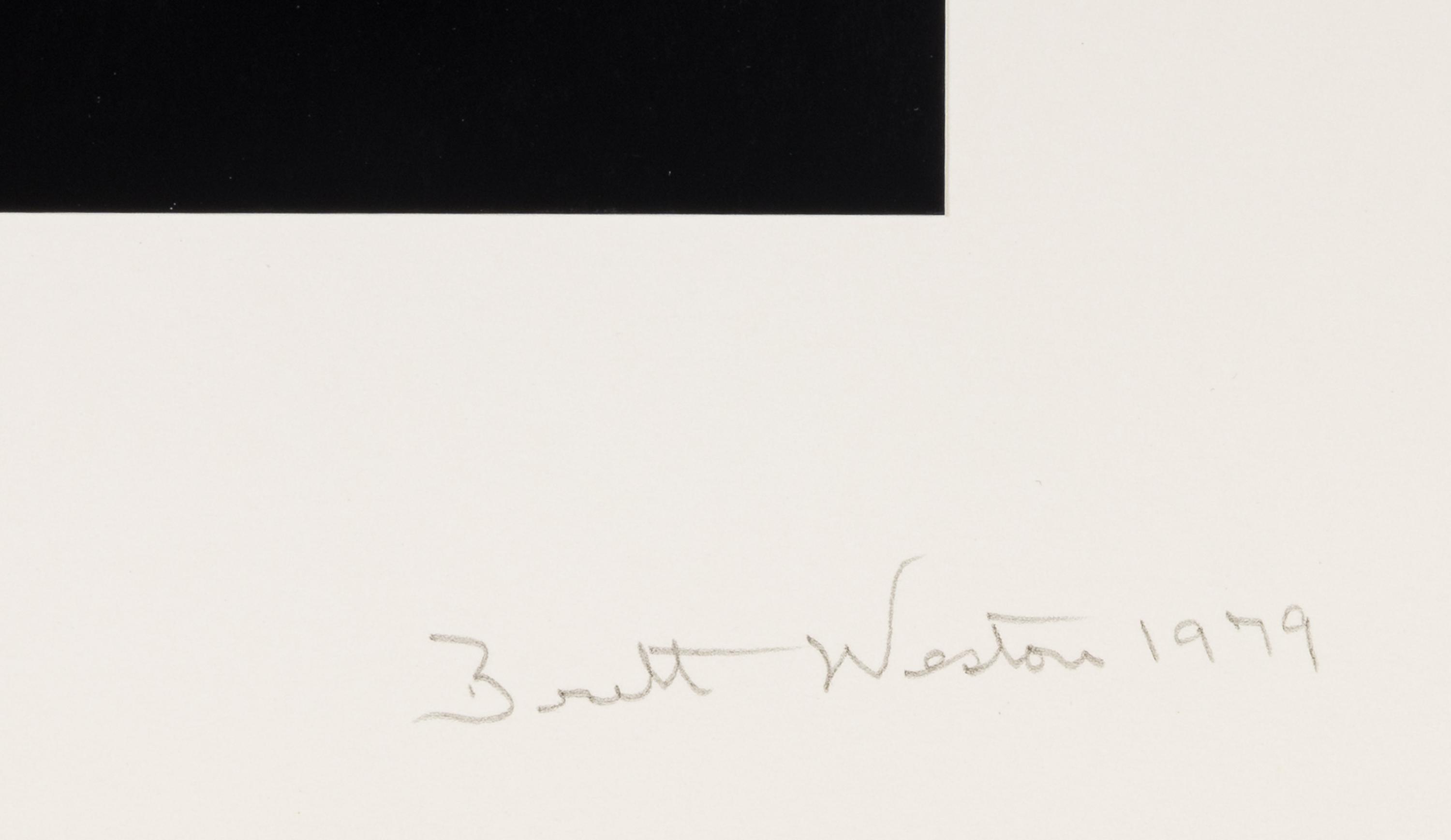 Brett Weston (1911-1993) Reflections, 1979