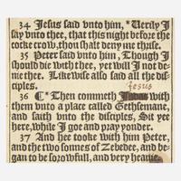 [Religion] ["She" Bible] (The Holy Bible, Conteyning the Old Testament, and the New...)