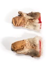 Arctic Mittens, Depicting a Wolf