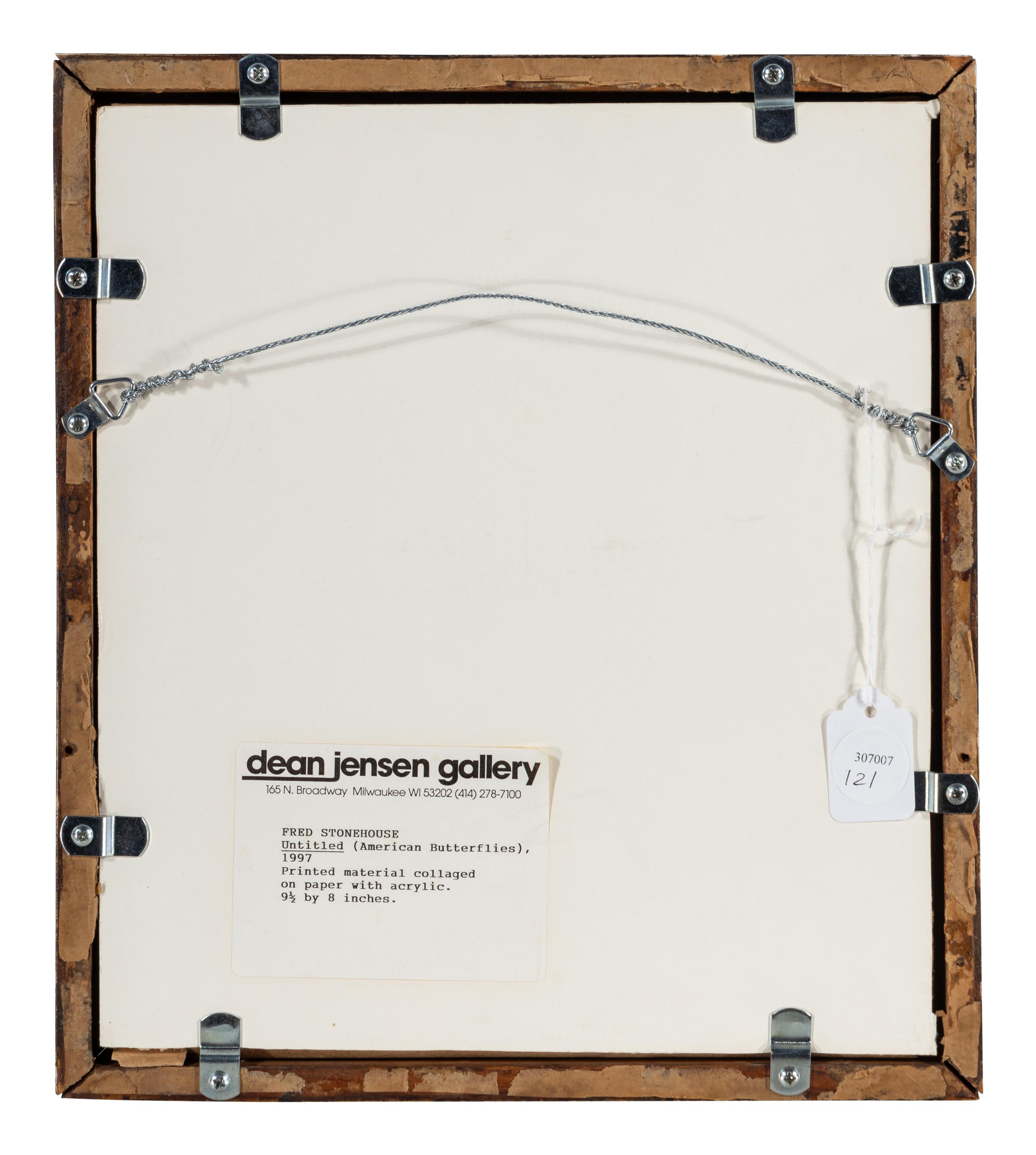 Untitled (American Butterflies), 1997