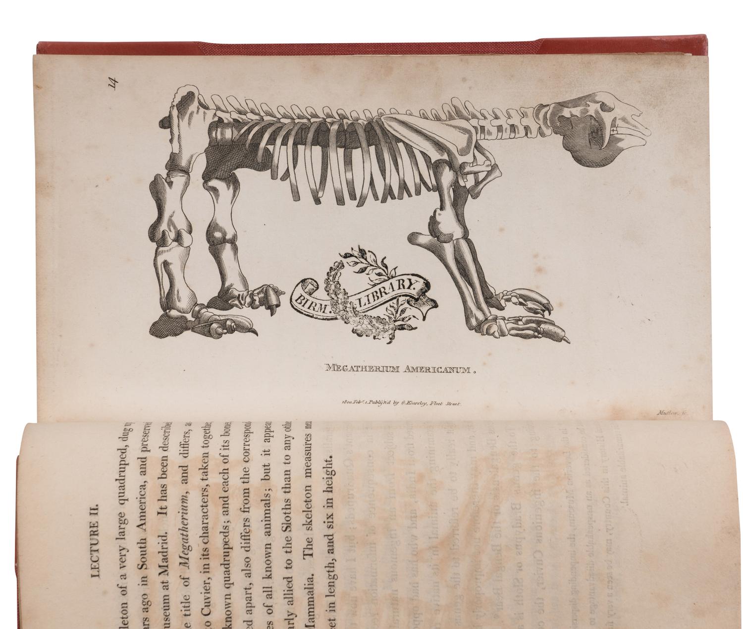 [NATURAL HISTORY]. SHAW, George (1751-1813). Zoological Lectures delivered at the Royal Institution . London: G. Kearsley, 1809.