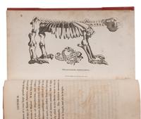 [NATURAL HISTORY]. SHAW, George (1751-1813). Zoological Lectures delivered at the Royal Institution . London: G. Kearsley, 1809.