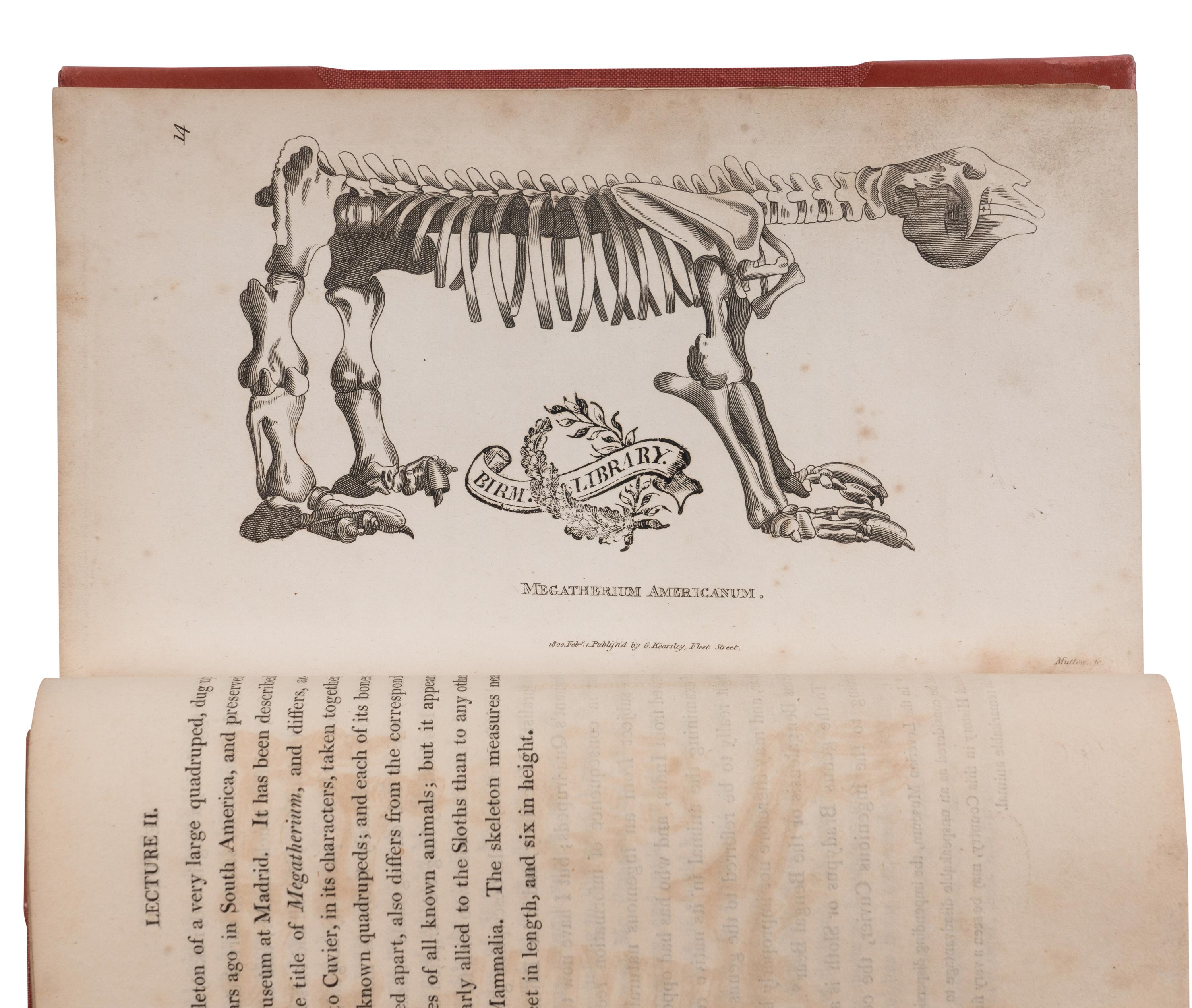 [NATURAL HISTORY]. SHAW, George (1751-1813). Zoological Lectures delivered at the Royal Institution . London: G. Kearsley, 1809.
