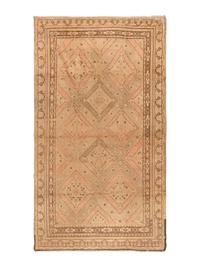An East Turkestan Rug