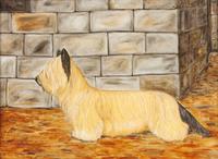 Three Works of Art depicting Skyecrest Terriers Largest: 17 1/4 x 23 1/2 inches.