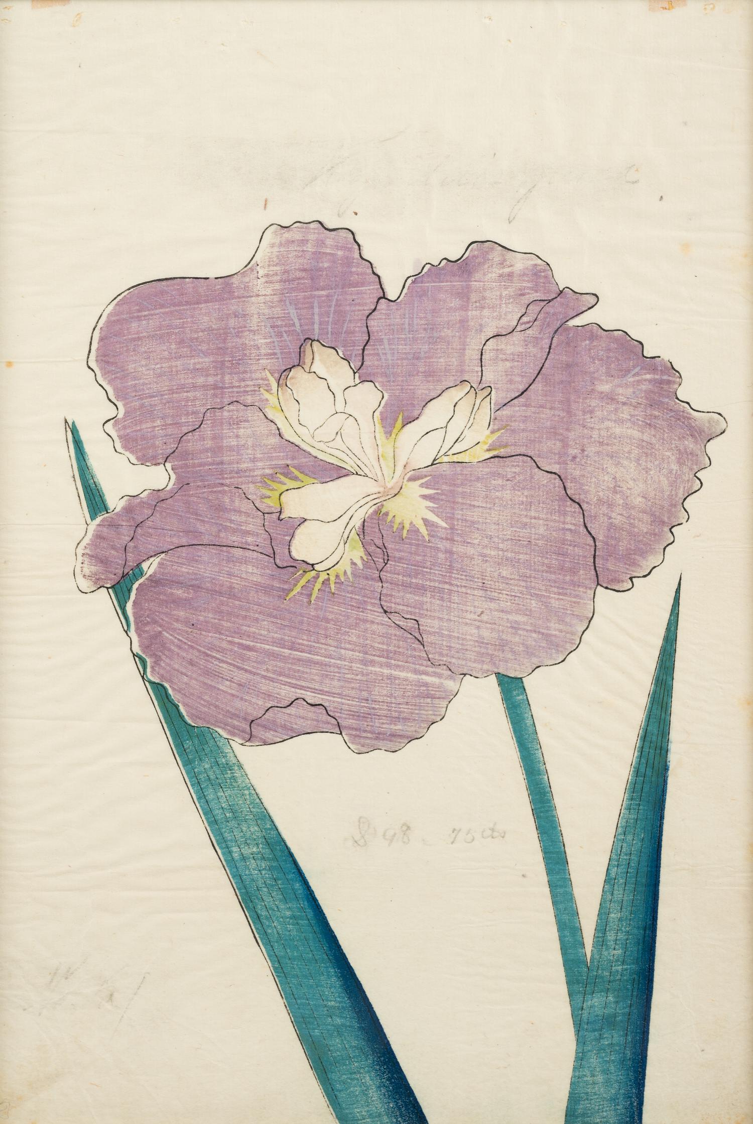 A Group of Six Japanese Color Lithographs from the Yokohama Seed Company