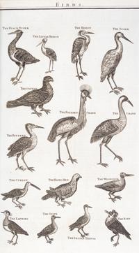 MILLAR, G.H. A New...System of Natural History... London, [1785] With 85 engraved plates.