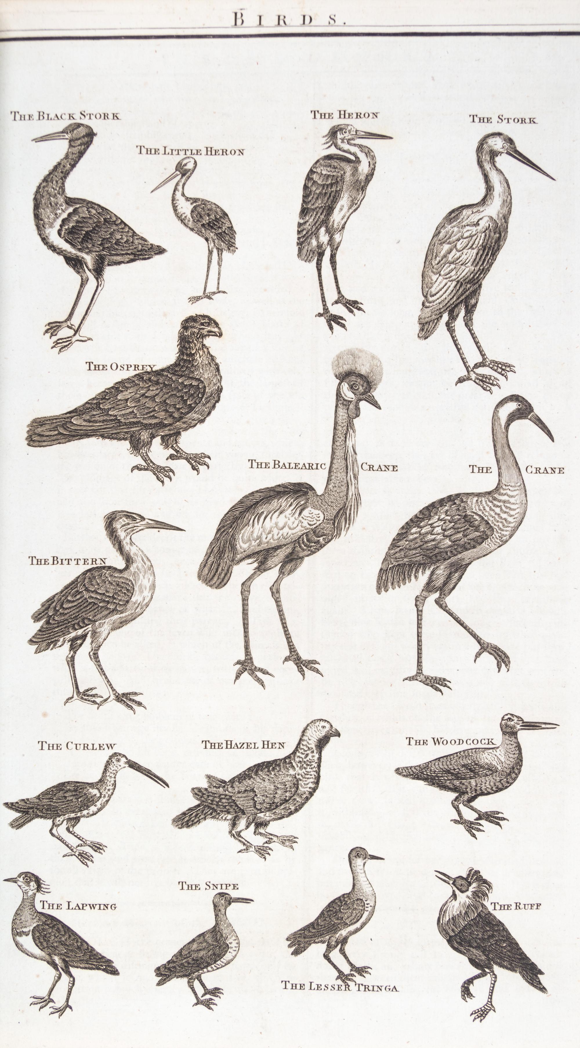 MILLAR, G.H. A New...System of Natural History... London, [1785] With 85 engraved plates.