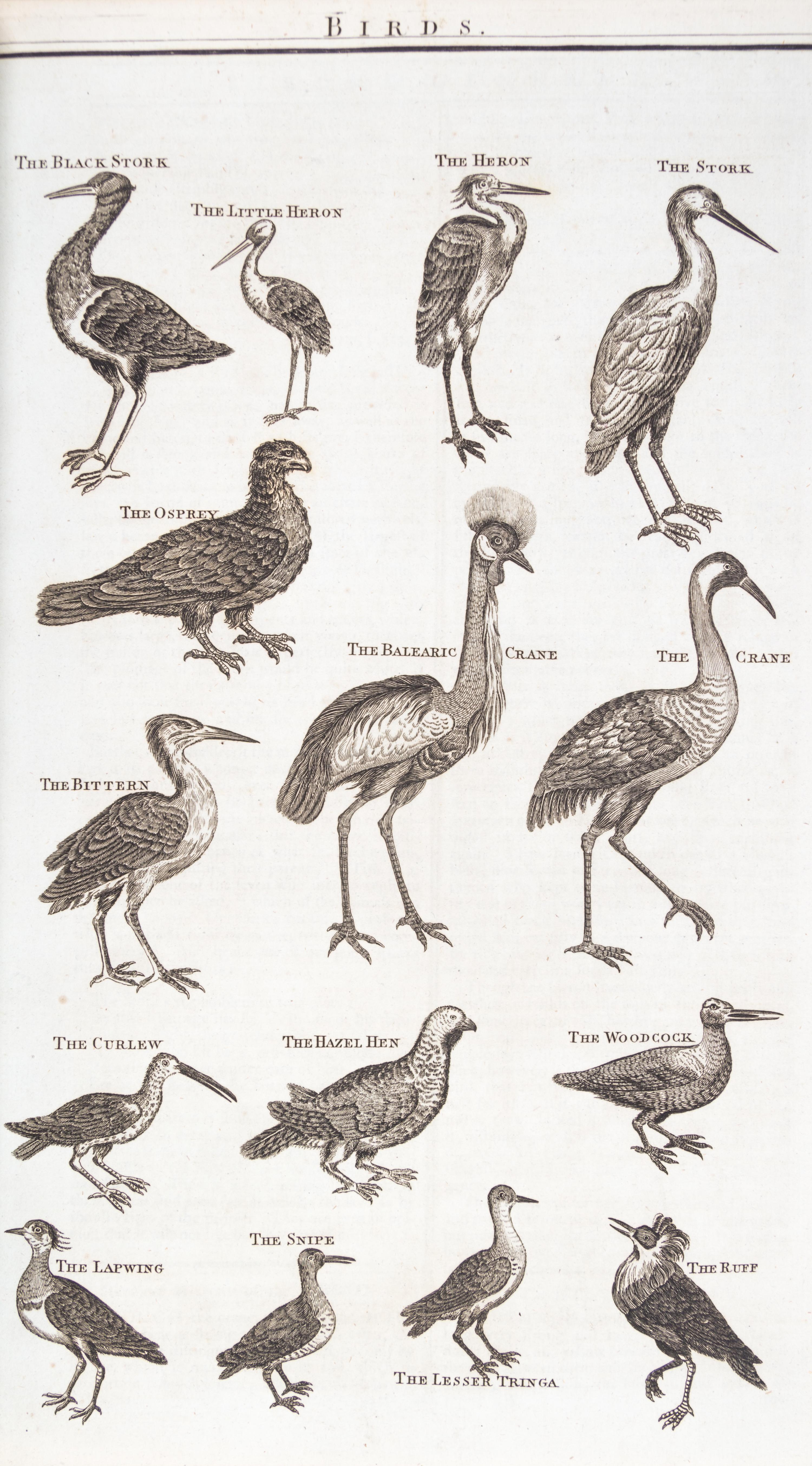 MILLAR, G.H. A New...System of Natural History... London, [1785] With 85 engraved plates.