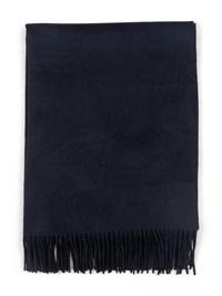 Max Mara Cashmere Stole