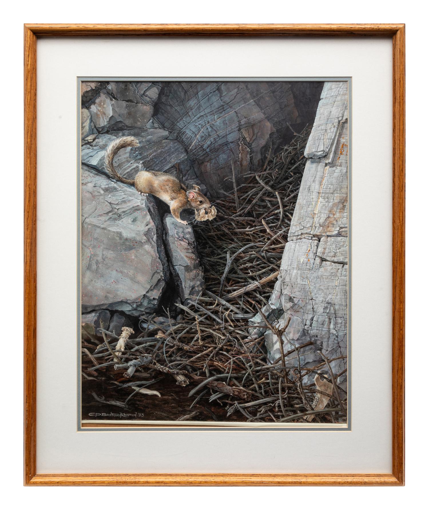 Wood Rat , 1993