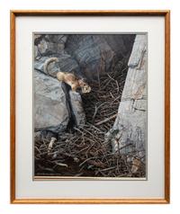 Wood Rat , 1993