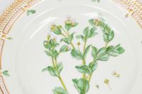 Two Royal Copenhagen Flora Danica Plates