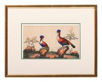 Seven Chinese Export Pith Paintings of Perched Birds and Flowers