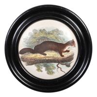 Four Framed Porcelain Animal Plaques