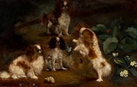 Neville Lytton (English, 1879-1951) — Four Cavalier King Charles Spaniels, ca. 1910