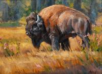 Bison in Flowers