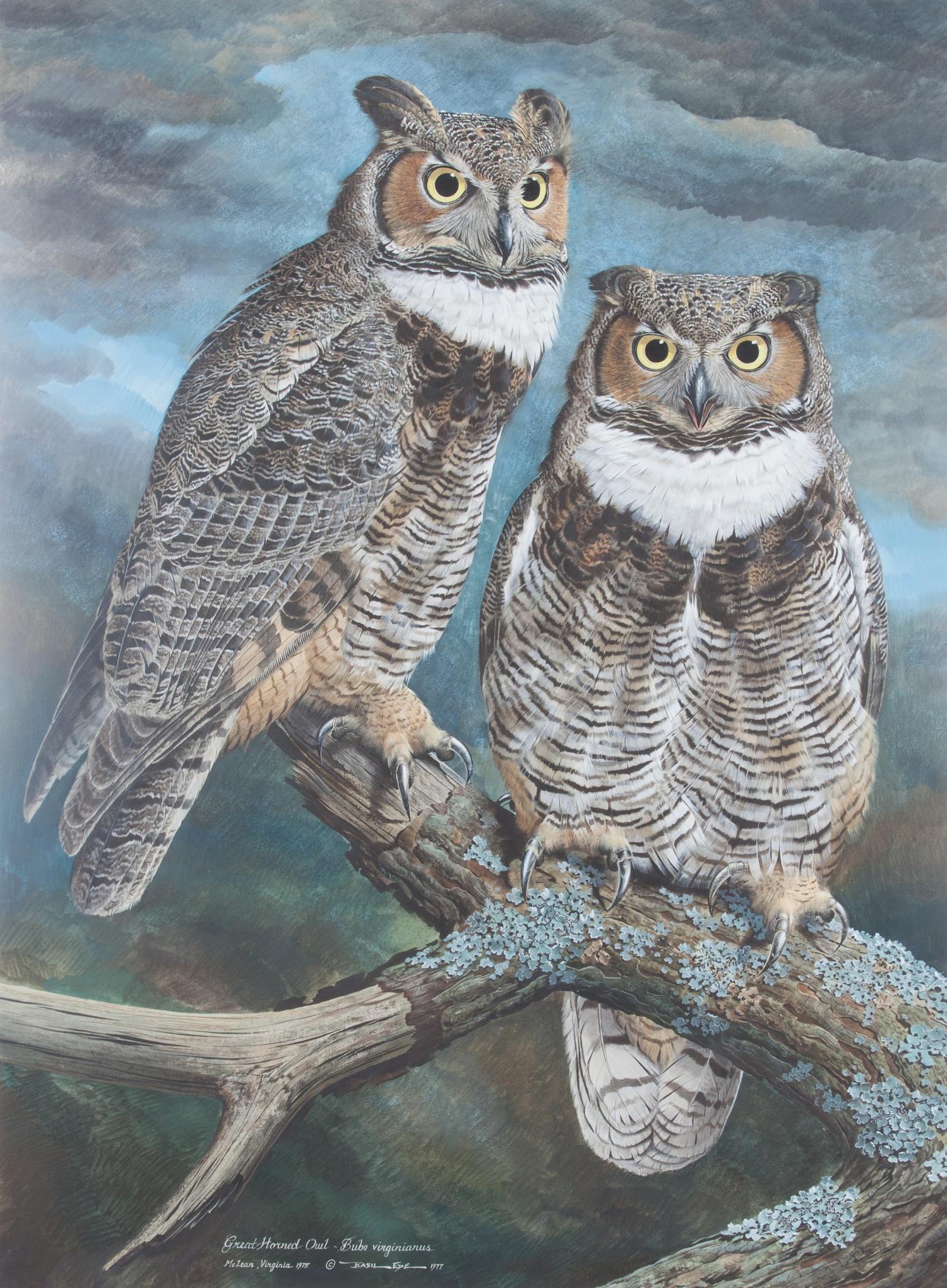 Basil Ede, (British, b. 1931), Great Horned Owl, 1975-77