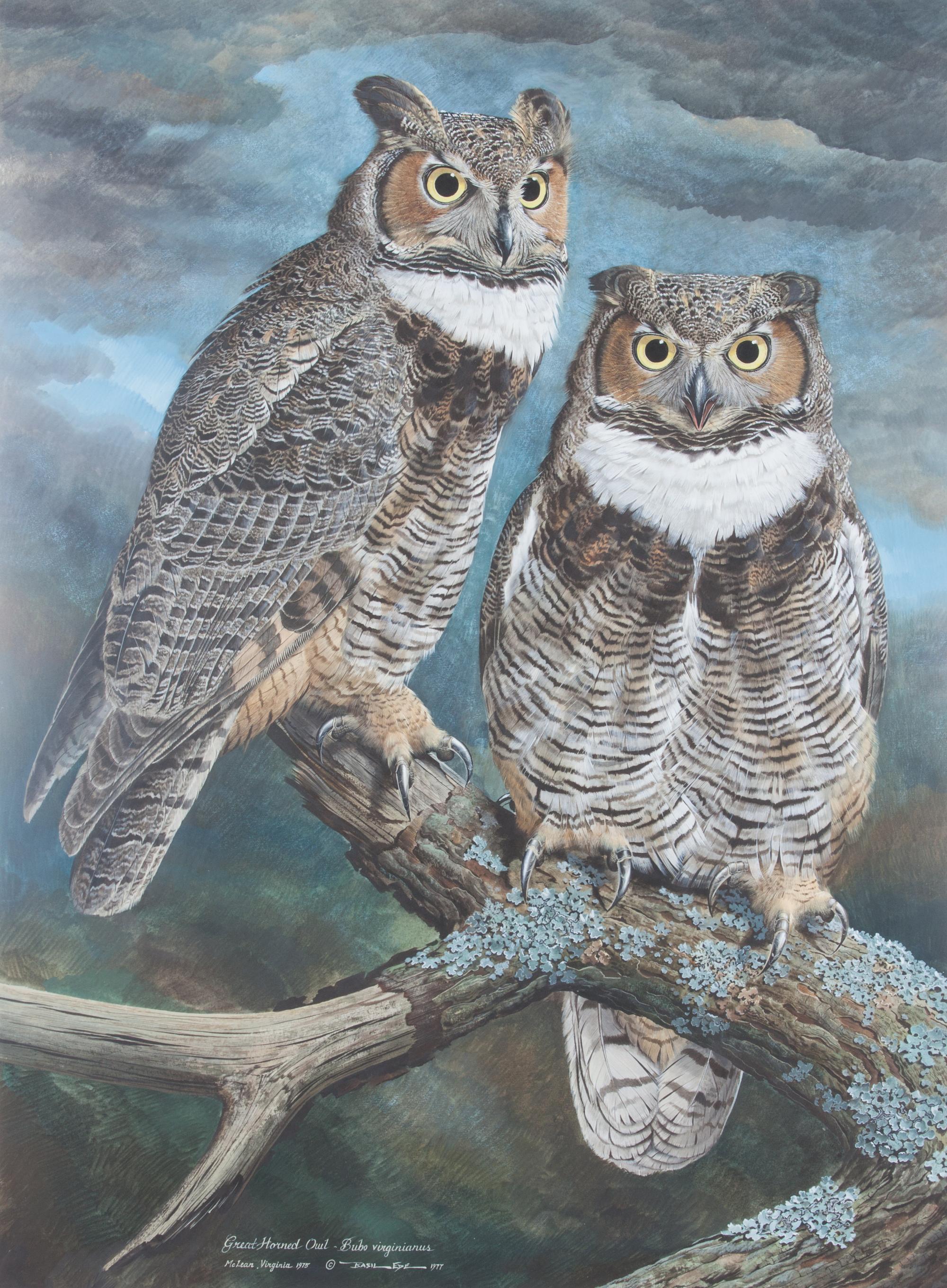 Basil Ede, (British, b. 1931), Great Horned Owl, 1975-77