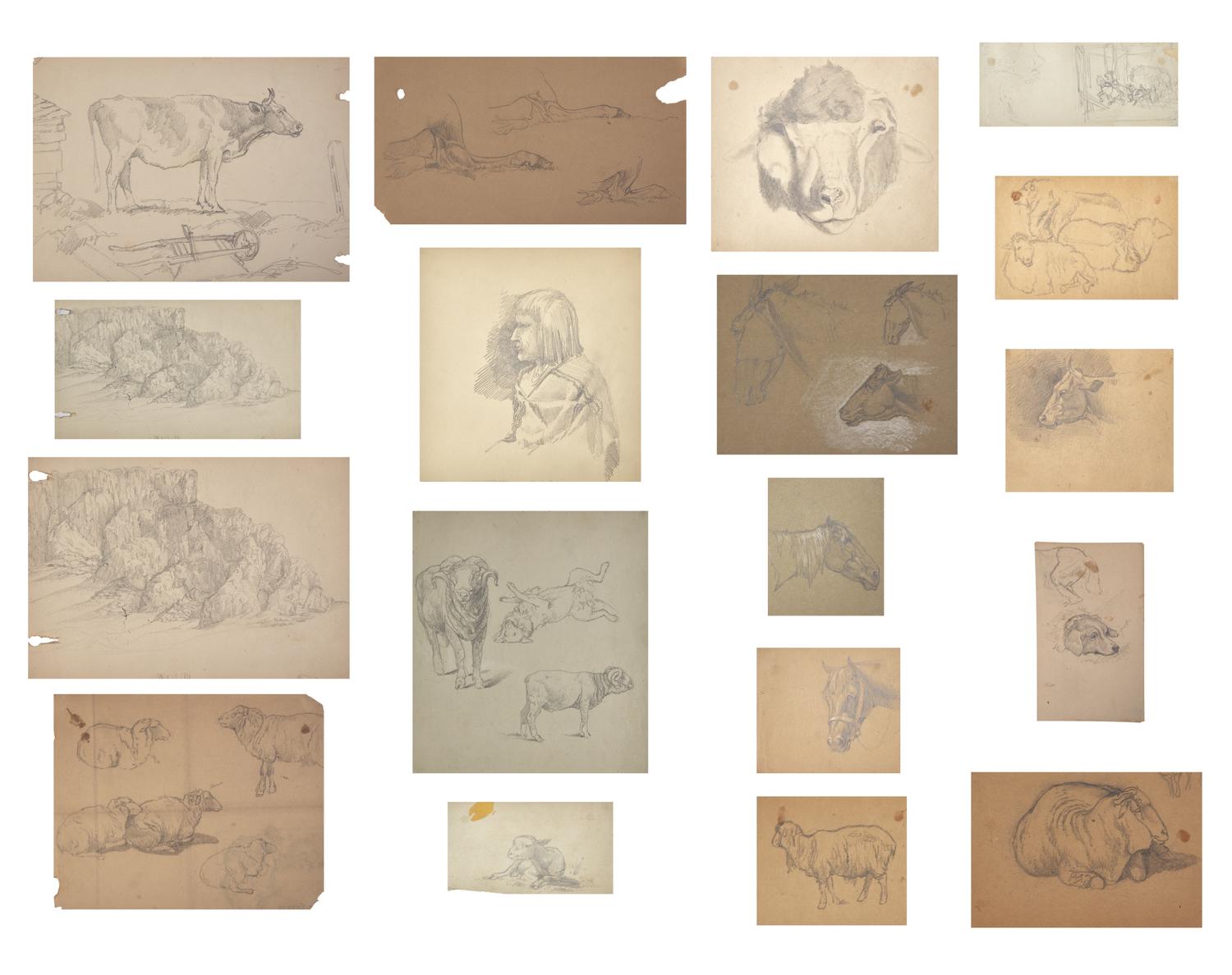 Farm Animal Studies: F older of Eighteen (18) Pencil Drawings