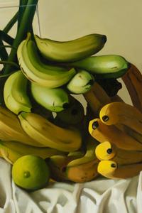 Tropical Still Life