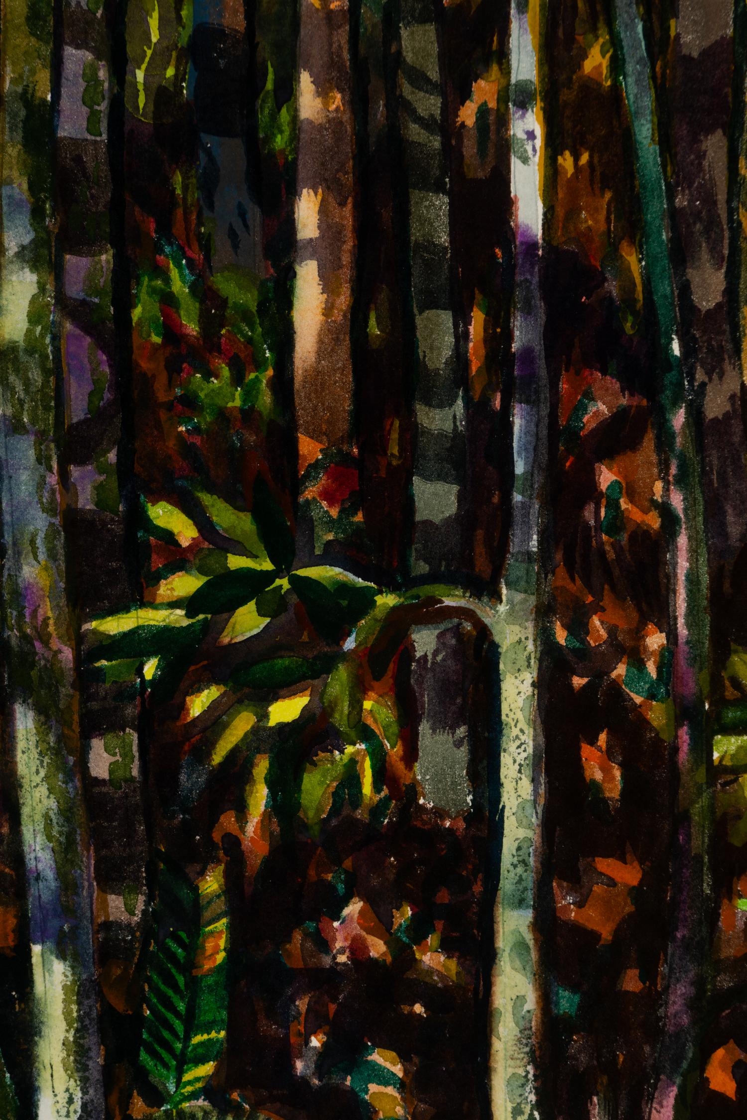 Spring in Deep Woods, California , 1976