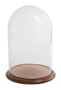 An American Glass Display Dome Height 15 1/2 inches.