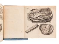 SCHULZE, Christian Friedrich (1730-1775). Kurtze Betrachtung derer versteinerten Hölzer, worinnen diese natürlichen Cörper sowohl nach ihrem Ursprunge, als auch nach ihrem eigenthümlichen Unterschiede und übrigen Eigenschafften in Erwegung gezogen werden . Leipzig: Friedrich Hekel, 1754.