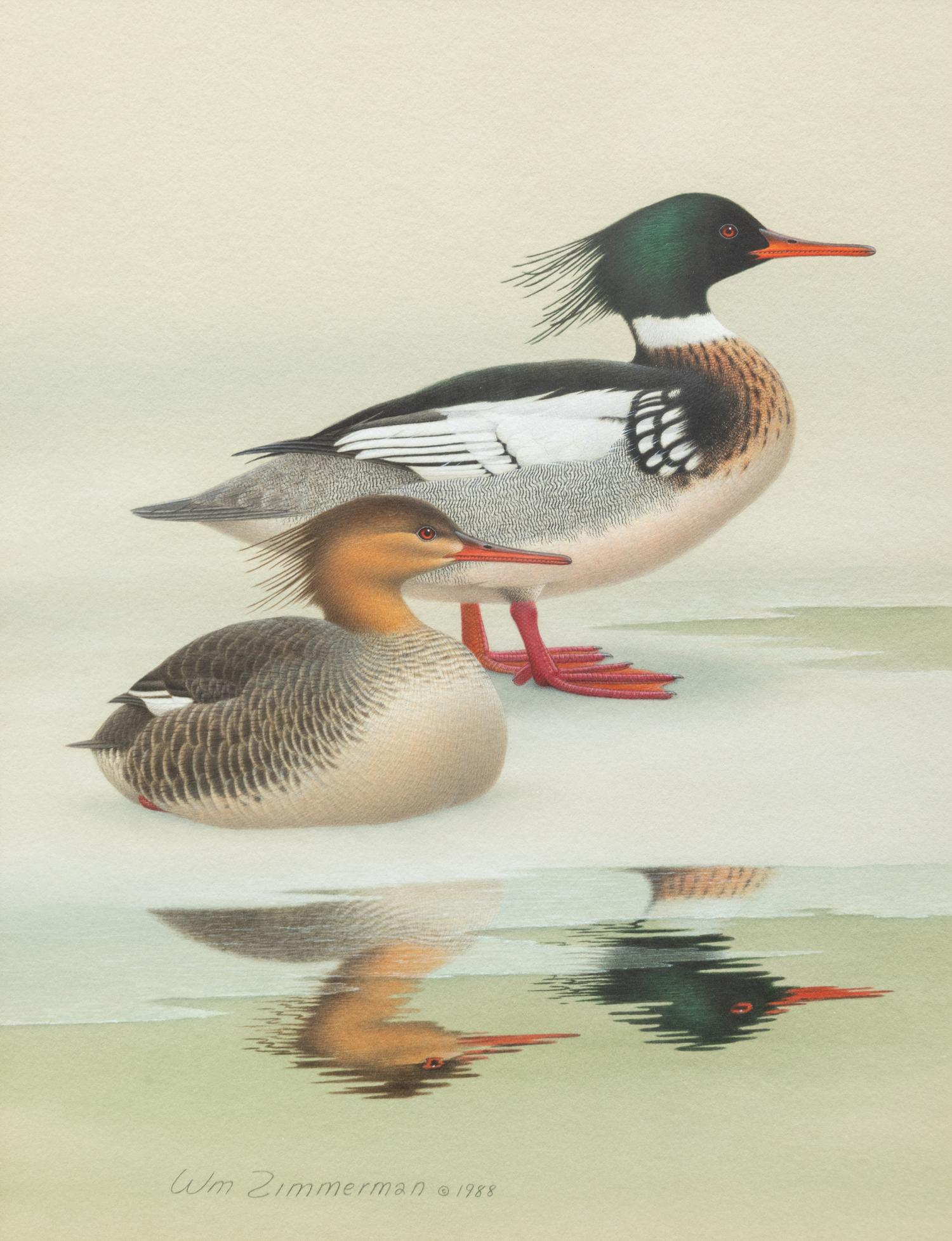 Group of Nine Works, American Bird Series, 1988