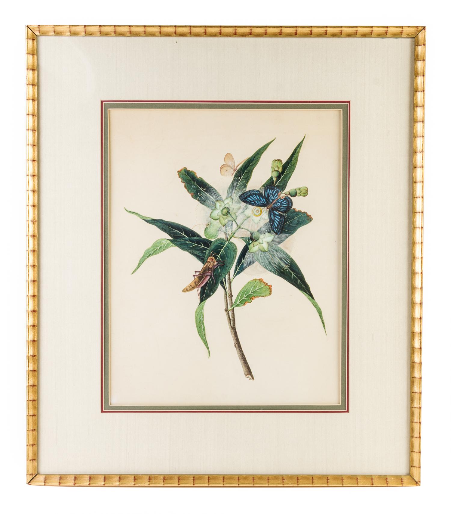 A China Trade Painting on Paper Height of painting 16 1/2 x width 13 inches. — CIRCA 1810