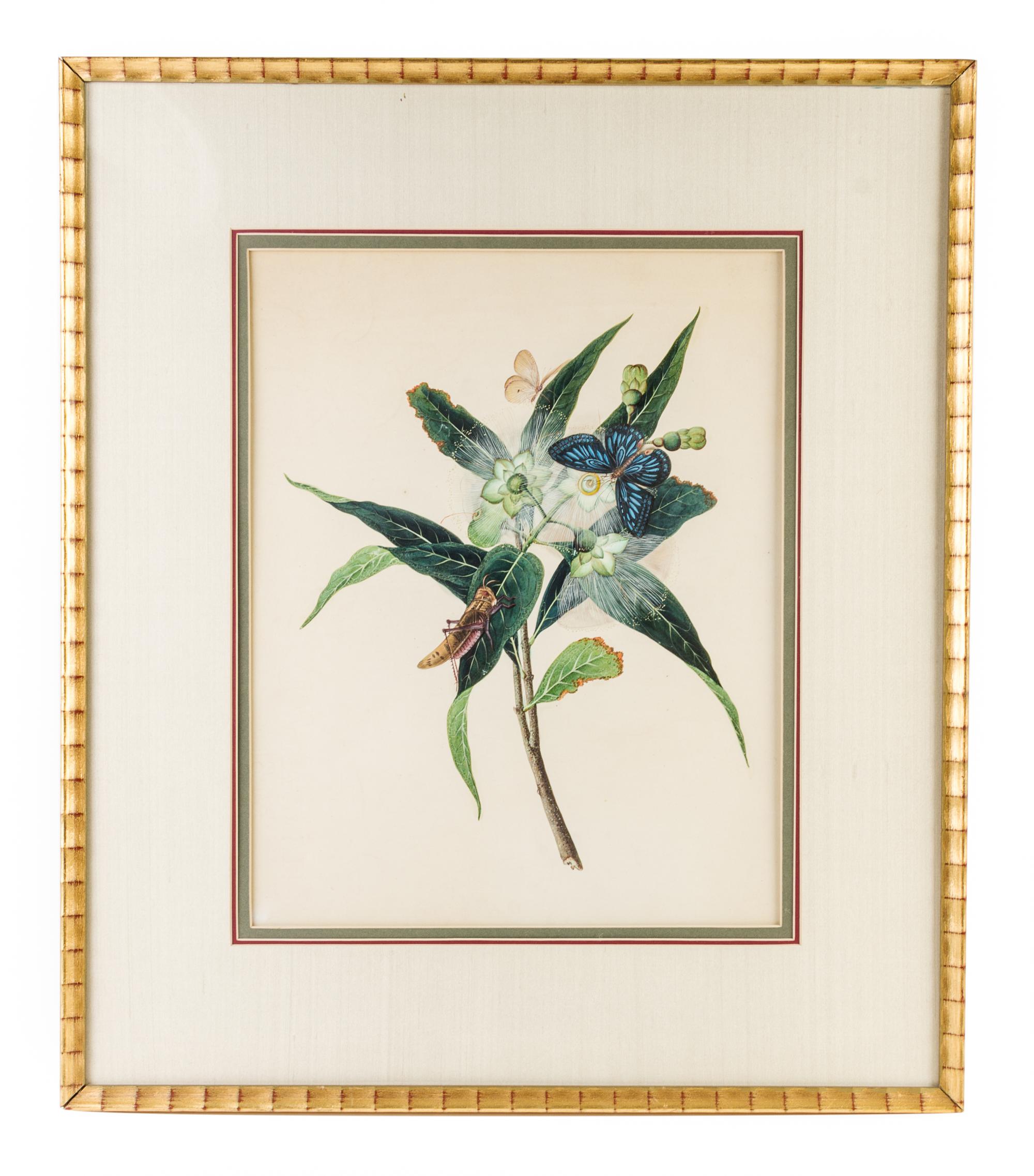A China Trade Painting on Paper Height of painting 16 1/2 x width 13 inches. — CIRCA 1810