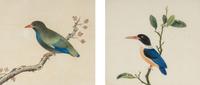A Pair of Chinese Export Pith Paintings of Birds