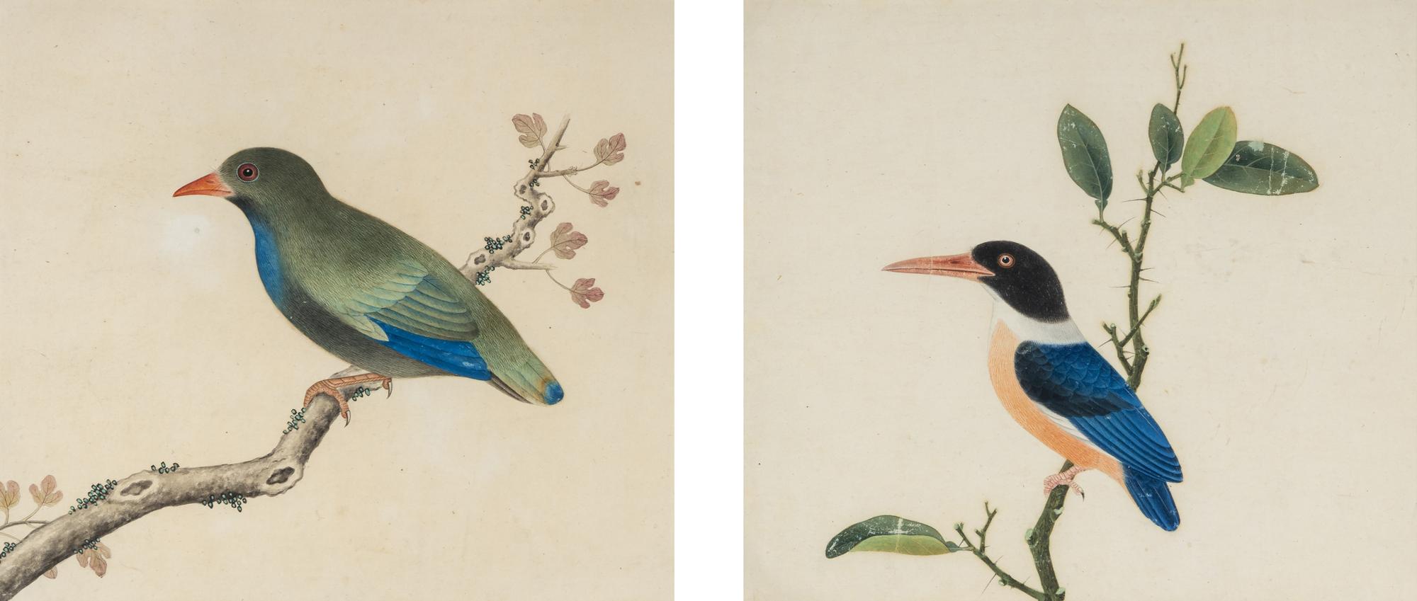 A Pair of Chinese Export Pith Paintings of Birds