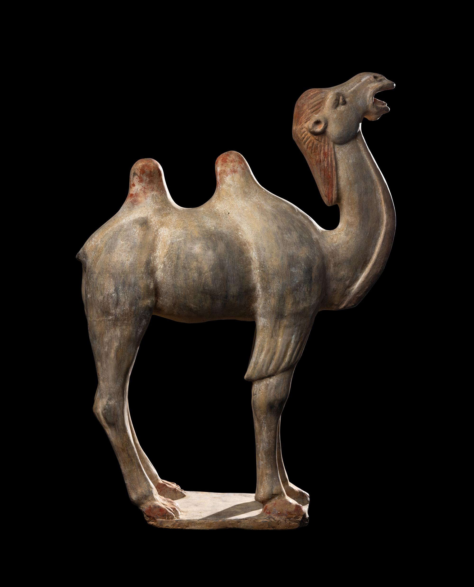 A Chinese Painted Pottery Figure of a Camel