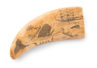 A Scrimshaw Whale's Tooth