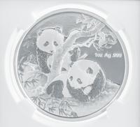 A China 2013 Panda Commemorative 1 Oz. Silver Proof