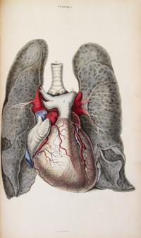 (ANATOMY) LIZARS, JOHN. A System of Anatomical Plates of the Human Body... Edinburgh, n.d. [1857] New edition.