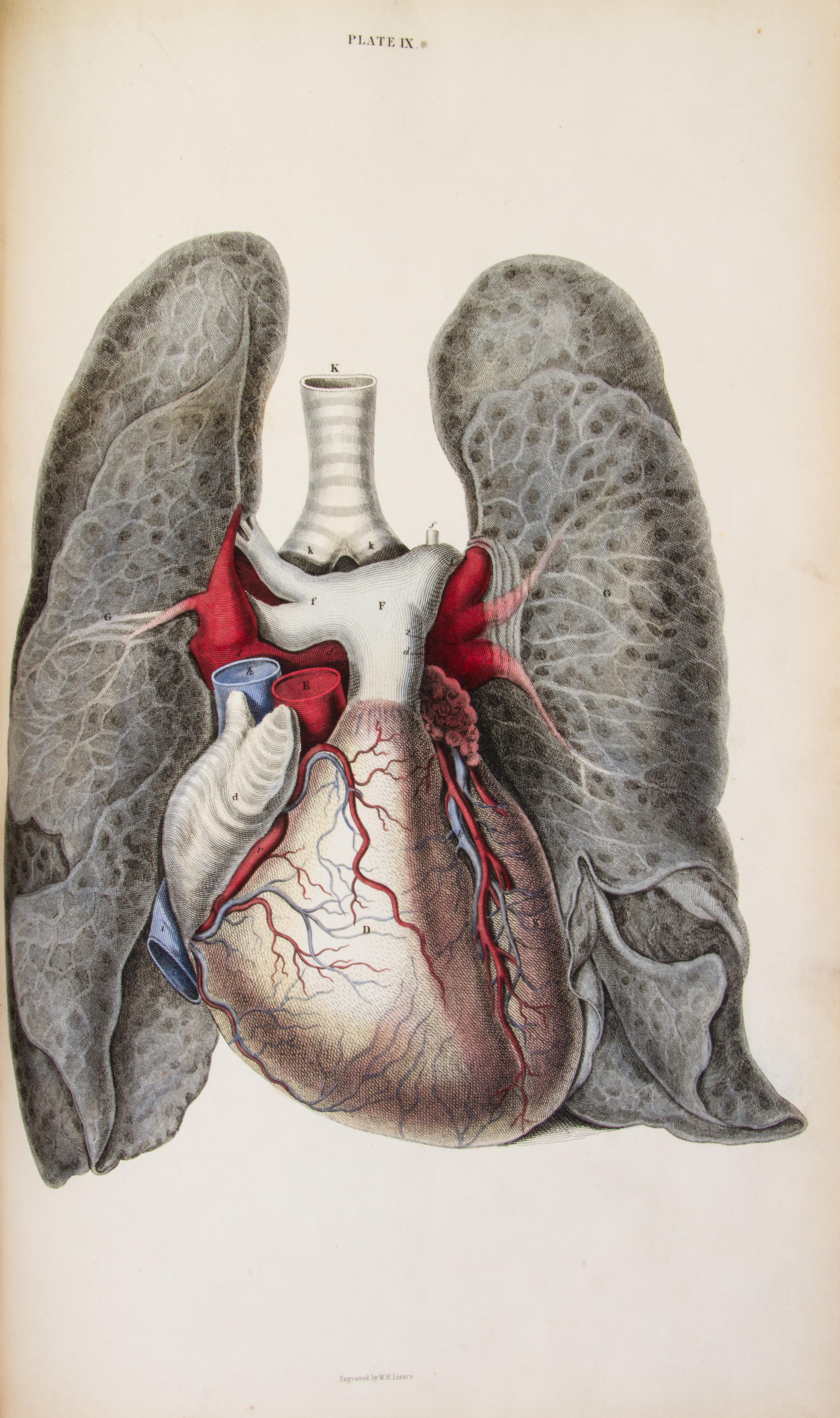 (ANATOMY) LIZARS, JOHN. A System of Anatomical Plates of the Human Body... Edinburgh, n.d. [1857] New edition.
