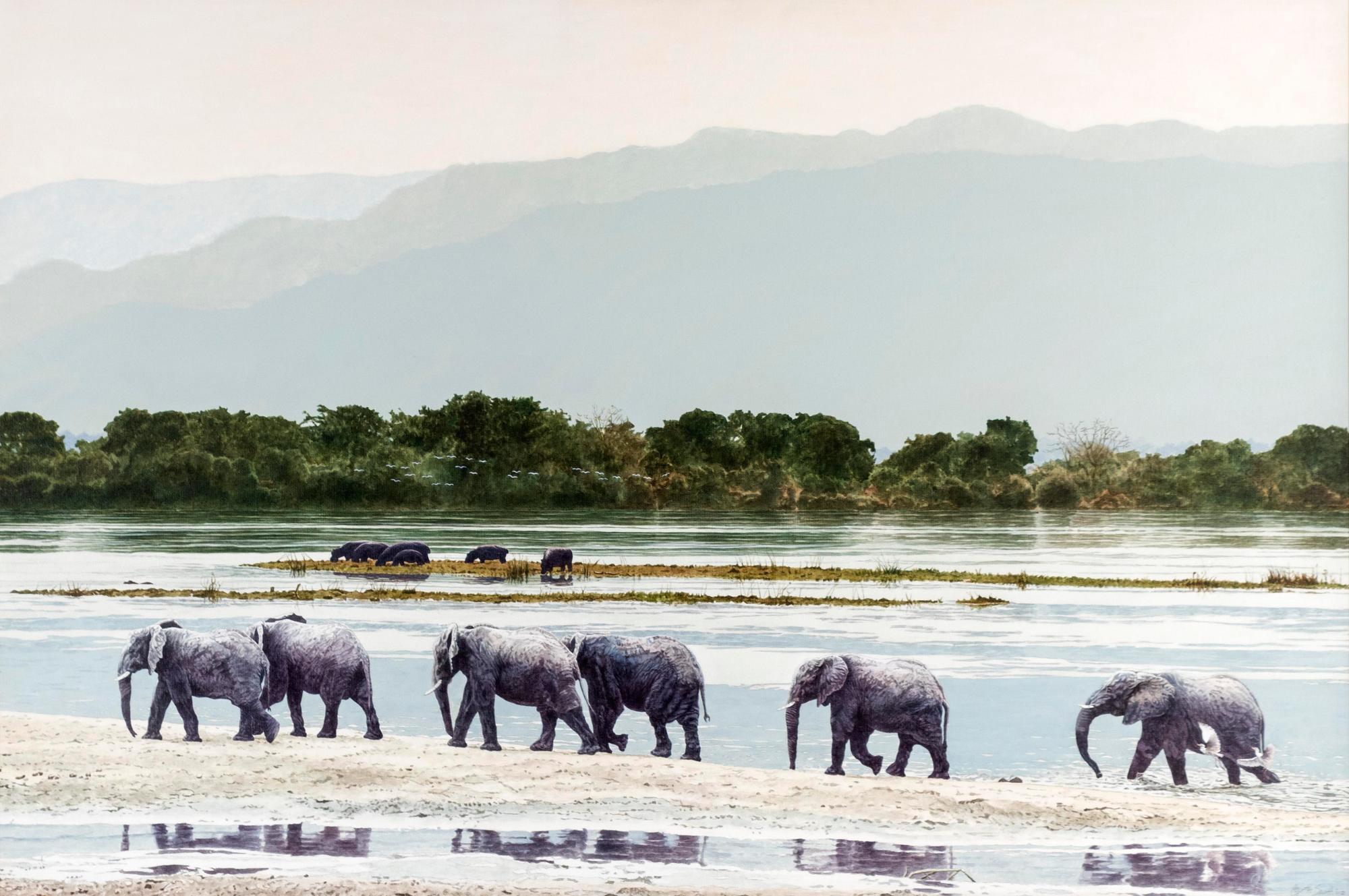 Shore Patrol (Elephants)