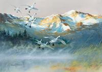 Trumpeter Swans , 2005