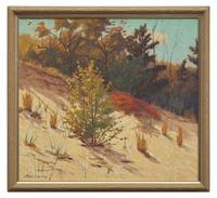Autumn Paints the Dunes