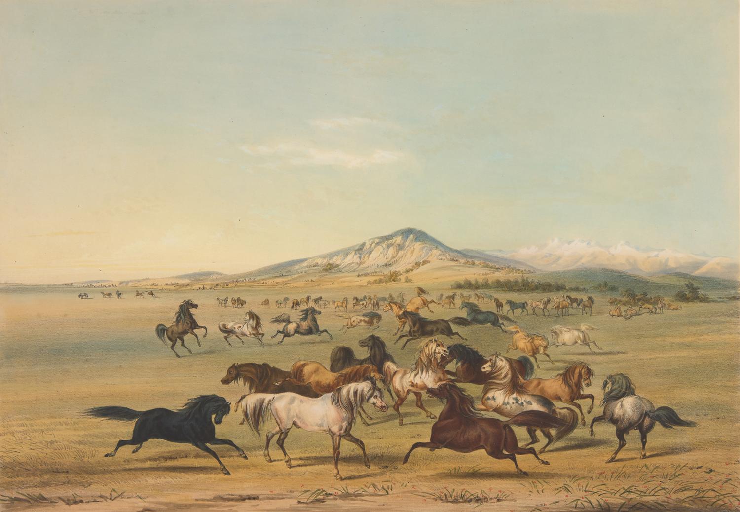 [Native-Americana] Catlin, George. Catlin's North American Indian Portfolio. Hunting Scenes and Amusements of the Rocky Mountains and Prairies of America...