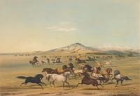 [Native-Americana] Catlin, George. Catlin's North American Indian Portfolio. Hunting Scenes and Amusements of the Rocky Mountains and Prairies of America...
