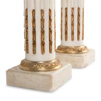 A Pair of Neoclassical Style Gilt Bronze Mounted Marble Urns on Pedestals