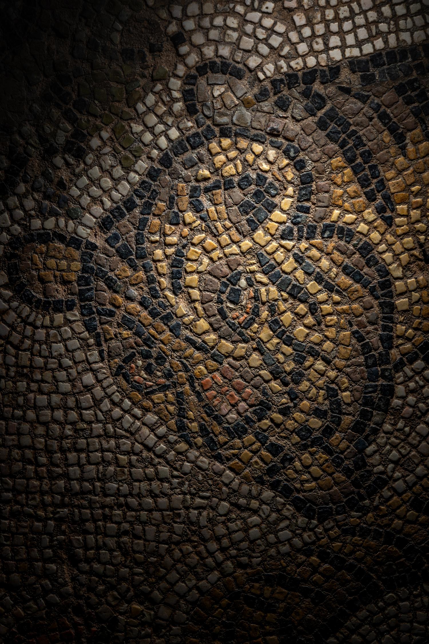 A Late Roman Mosaic Panel of a Tigress with Cubs