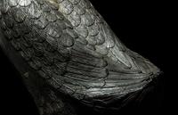 A Japanese Bronze Figure of a Goose