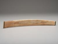 A Scrimshaw Carved Whale's Rib Bone