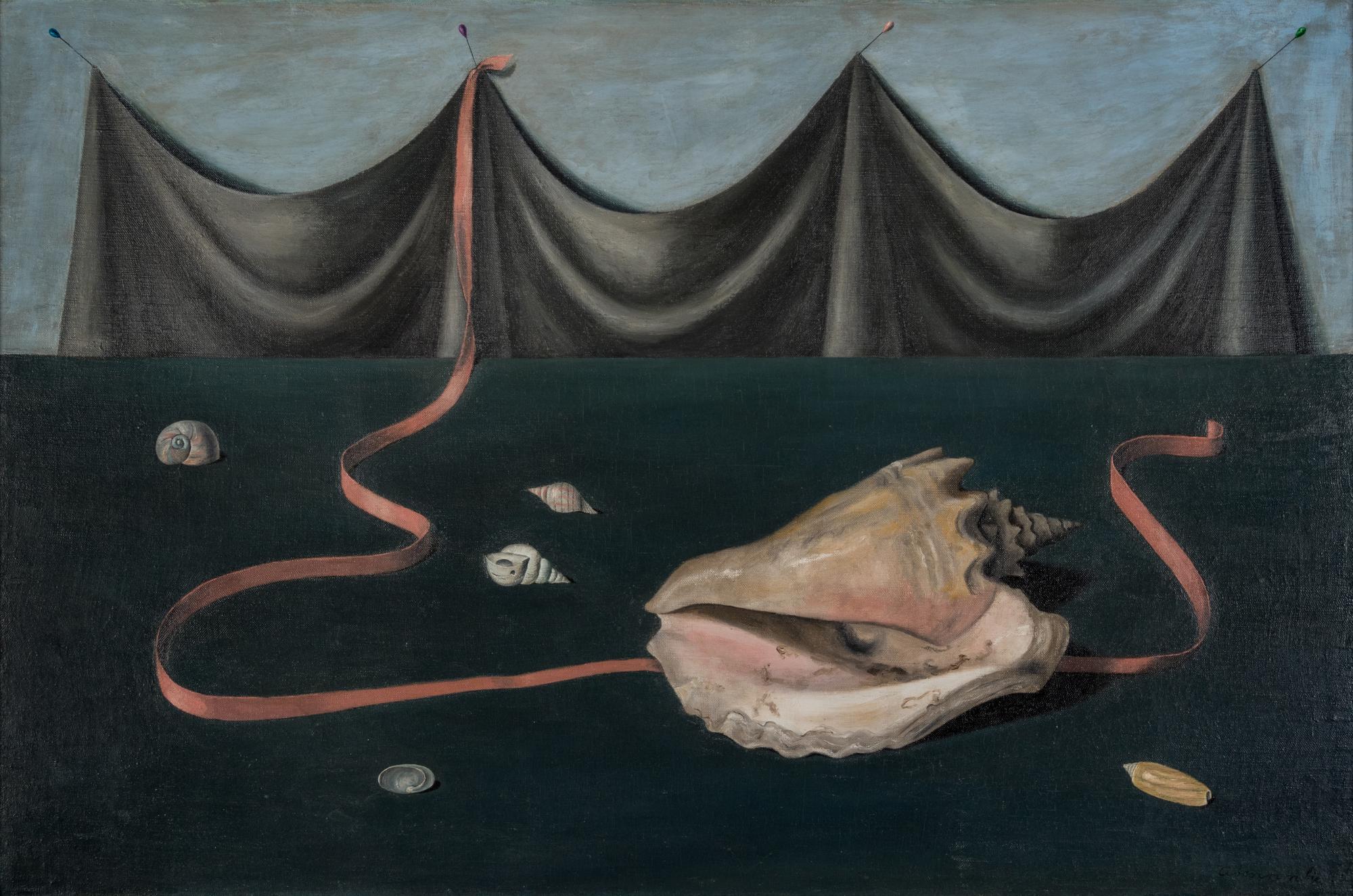 Shell and Drapery