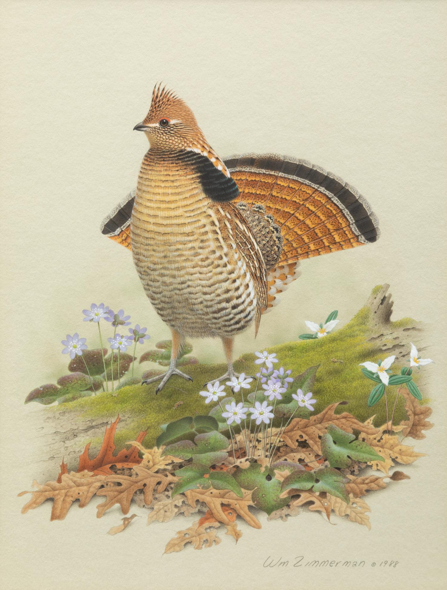 Group of Nine Works, American Bird Series, 1988