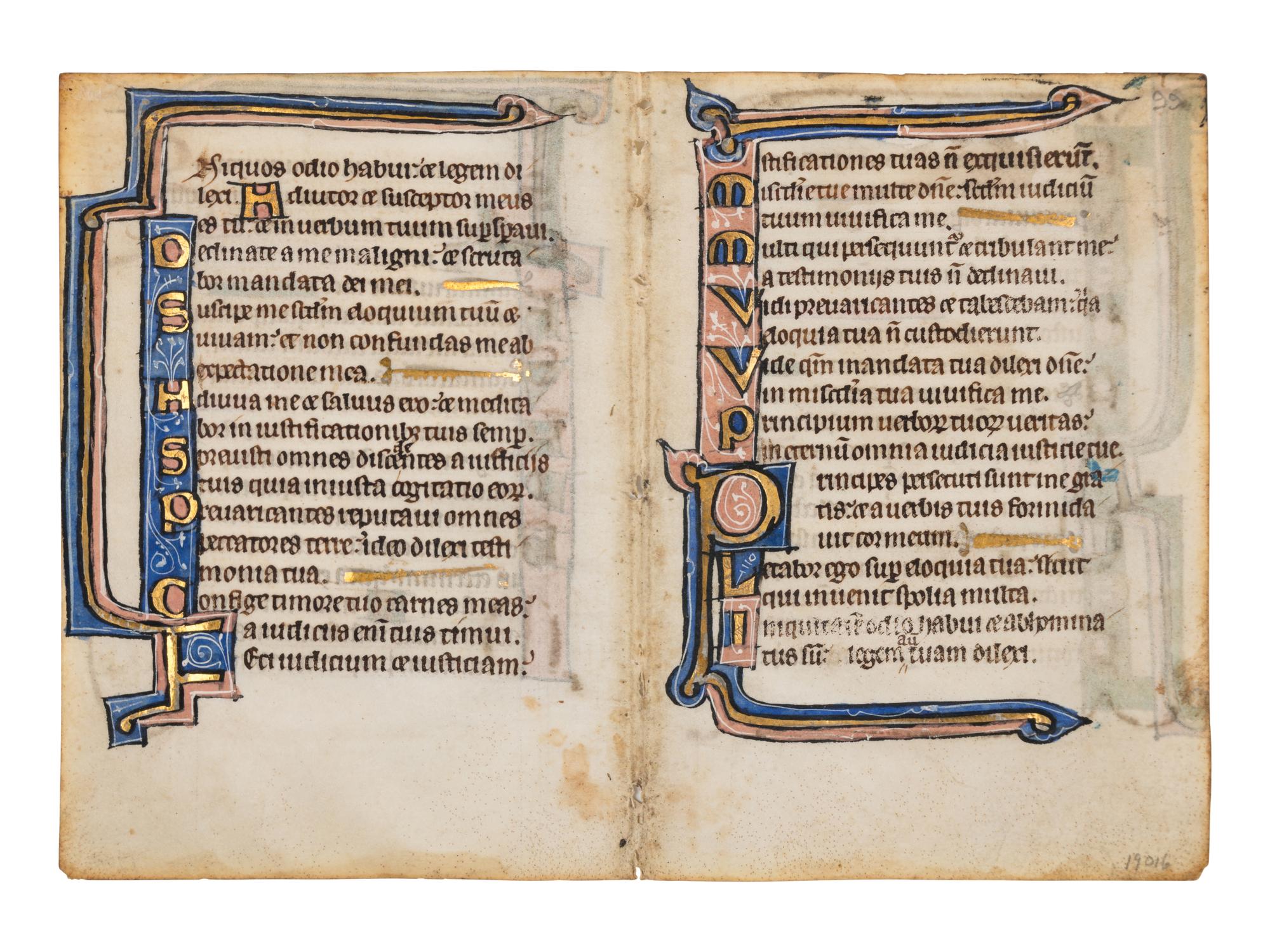 A collection of leaves from Psalter manuscripts, illuminated in Flanders in the first half of the thirteenth century, joined with a group of seventeenth- or eighteenth-century Psalter leaves drawn according to similar models